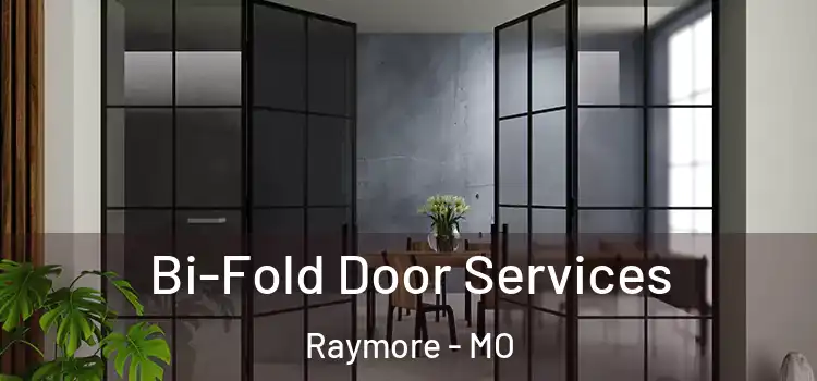 Bi-Fold Door Services Raymore - MO