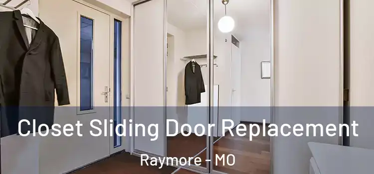 Closet Sliding Door Replacement Raymore - MO