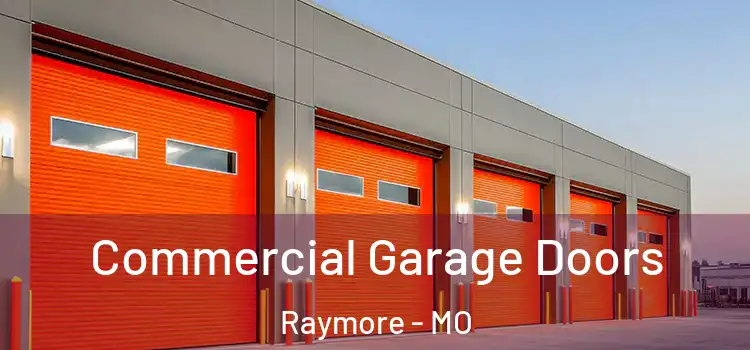  Commercial Garage Doors Raymore - MO