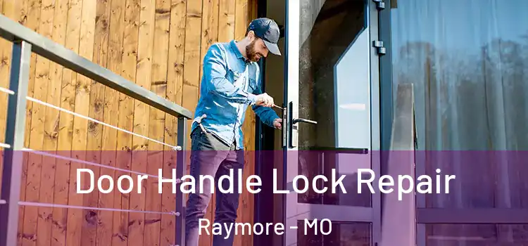  Door Handle Lock Repair Raymore - MO