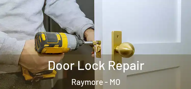 Door Lock Repair Raymore - MO