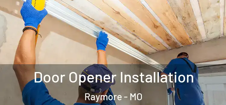  Door Opener Installation Raymore - MO