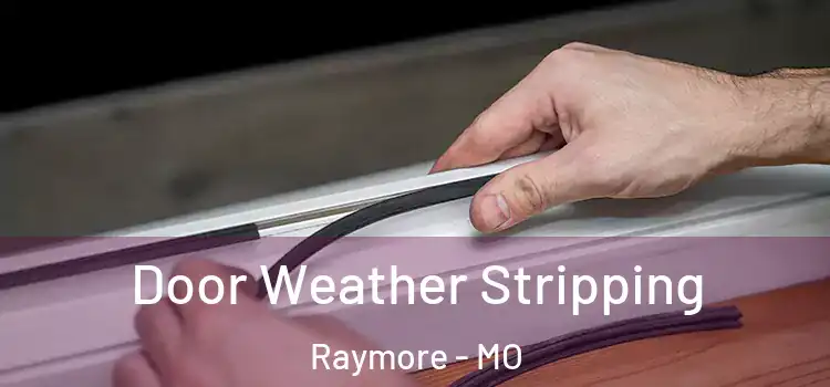 Door Weather Stripping Raymore - MO