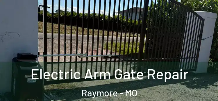  Electric Arm Gate Repair Raymore - MO