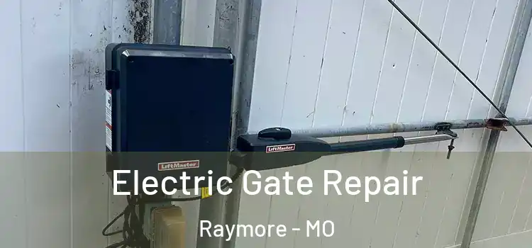 Electric Gate Repair Raymore - MO