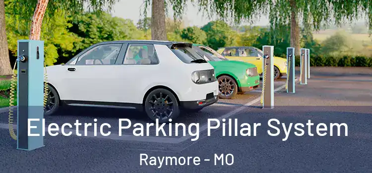 Electric Parking Pillar System Raymore - MO