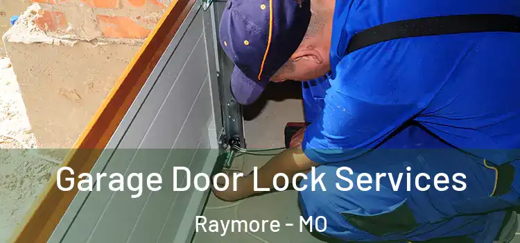 Garage Door Lock Services Raymore - MO