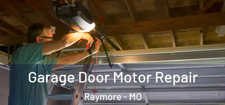  Garage Door Motor Repair Raymore - MO