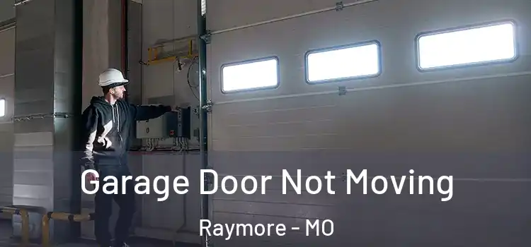  Garage Door Not Moving Raymore - MO