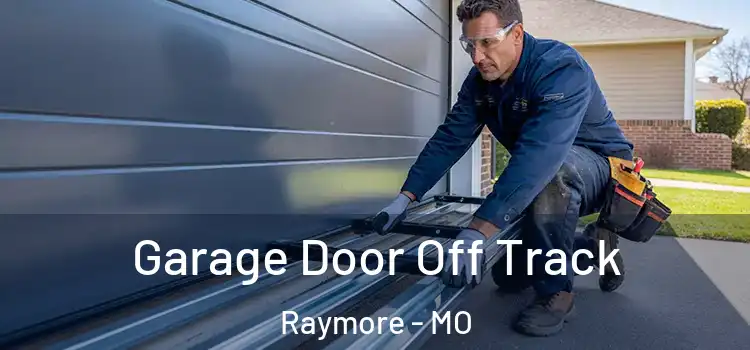  Garage Door Off Track Raymore - MO