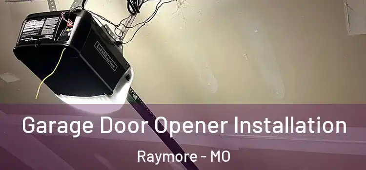  Garage Door Opener Installation Raymore - MO