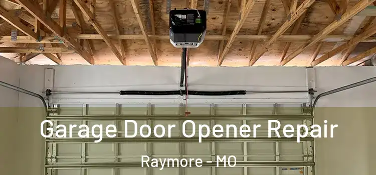  Garage Door Opener Repair Raymore - MO