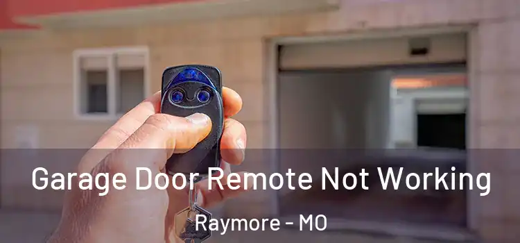  Garage Door Remote Not Working Raymore - MO