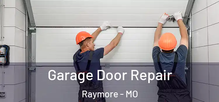  Garage Door Repair Raymore - MO