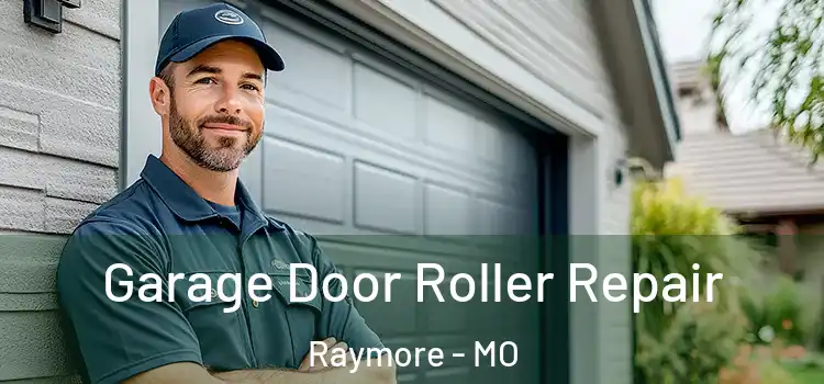  Garage Door Roller Repair Raymore - MO