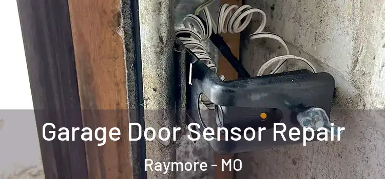  Garage Door Sensor Repair Raymore - MO