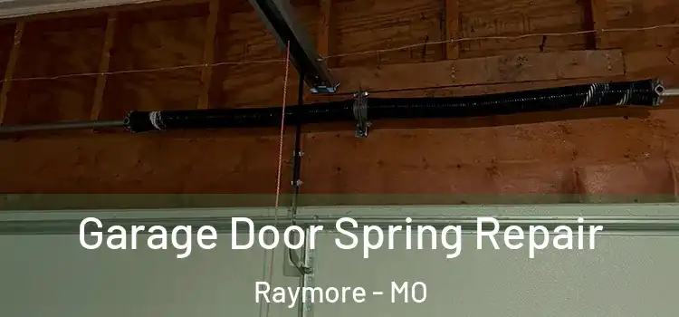  Garage Door Spring Repair Raymore - MO