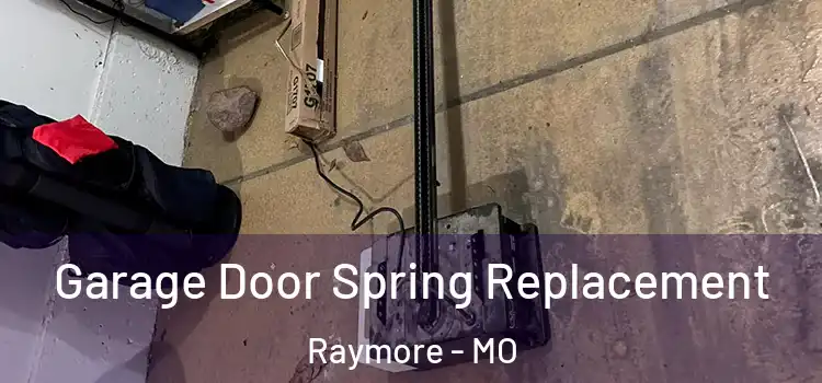  Garage Door Spring Replacement Raymore - MO