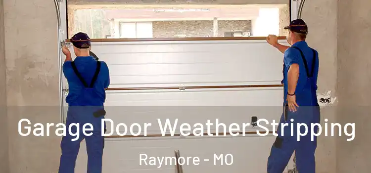  Garage Door Weather Stripping Raymore - MO