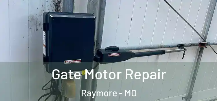 Gate Motor Repair Raymore - MO