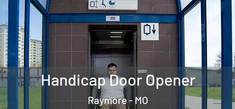  Handicap Door Opener Raymore - MO