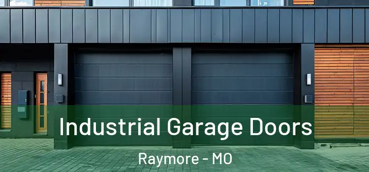  Industrial Garage Doors Raymore - MO