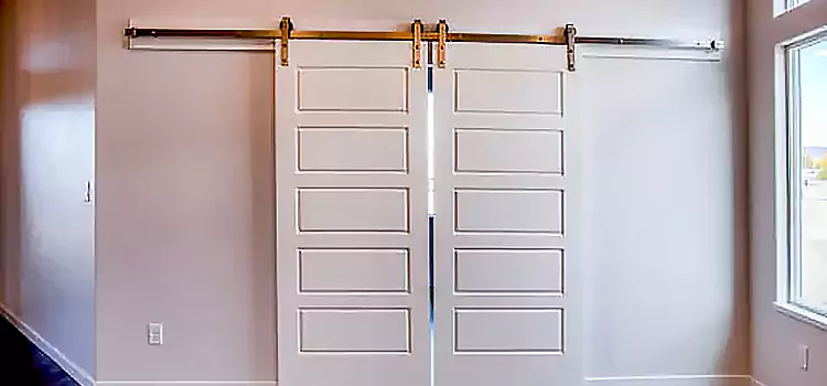 Glass Barn Door with Installation Hardware Kit Raymore