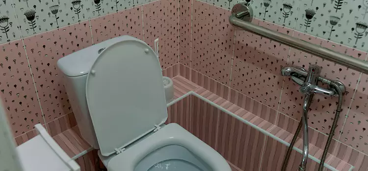 Meeting Diverse Needs With Accessible Restroom Solutions in Raymore, MO