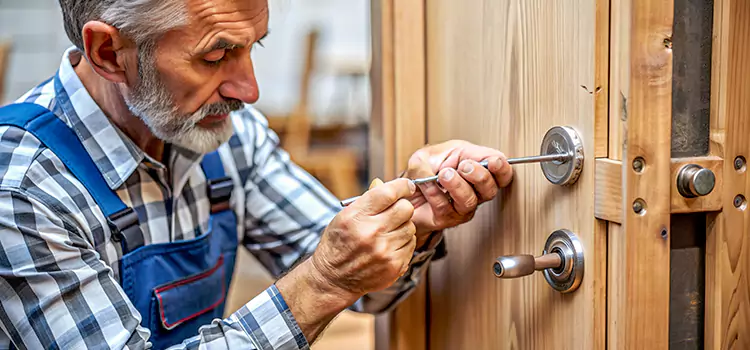 Mortise Replacement Lock Raymore