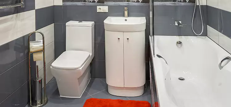 Hansgrohe Shaving Mirror Raymore