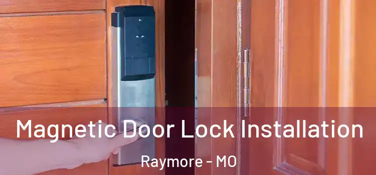 Magnetic Door Lock Installation Raymore - MO