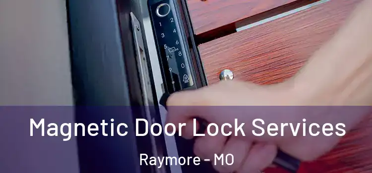 Magnetic Door Lock Services Raymore - MO