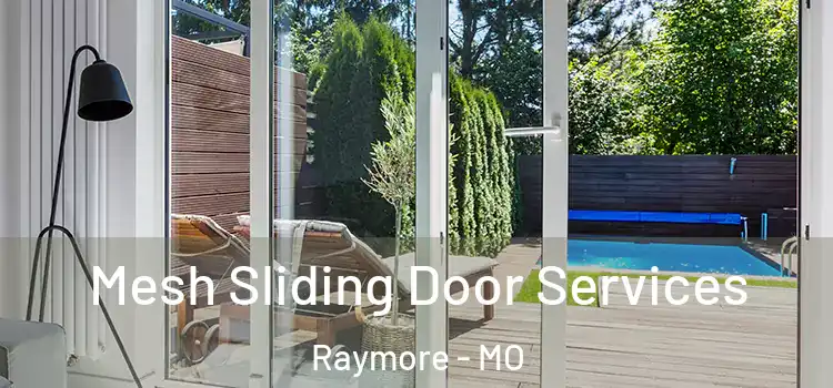 Mesh Sliding Door Services Raymore - MO
