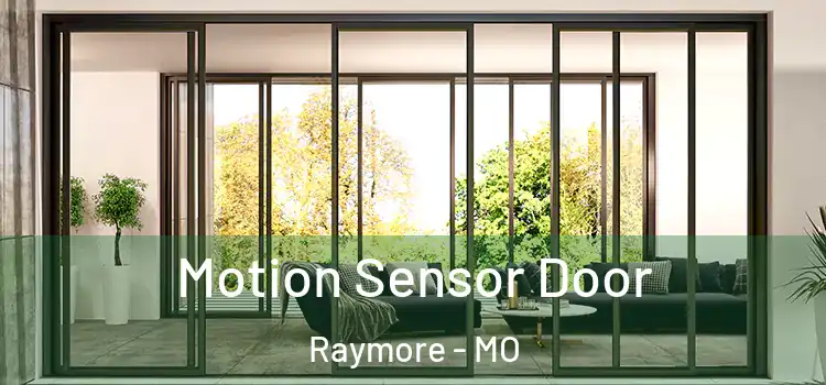  Motion Sensor Door Raymore - MO