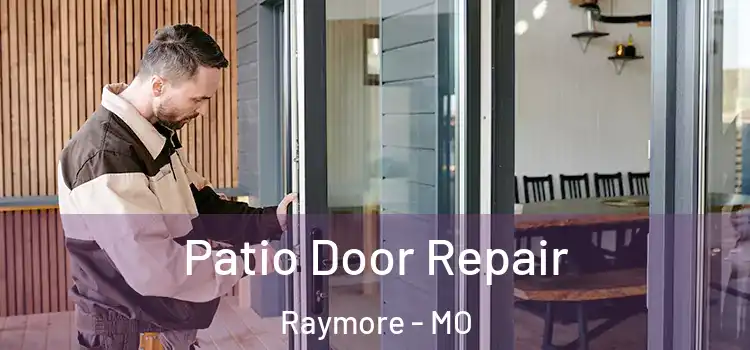  Patio Door Repair Raymore - MO