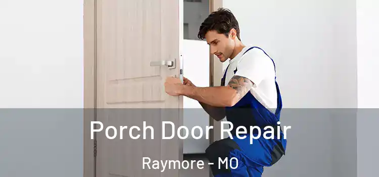  Porch Door Repair Raymore - MO