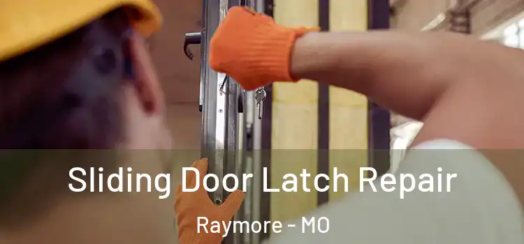  Sliding Door Latch Repair Raymore - MO
