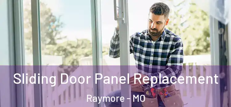  Sliding Door Panel Replacement Raymore - MO