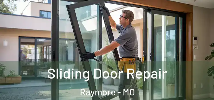  Sliding Door Repair Raymore - MO
