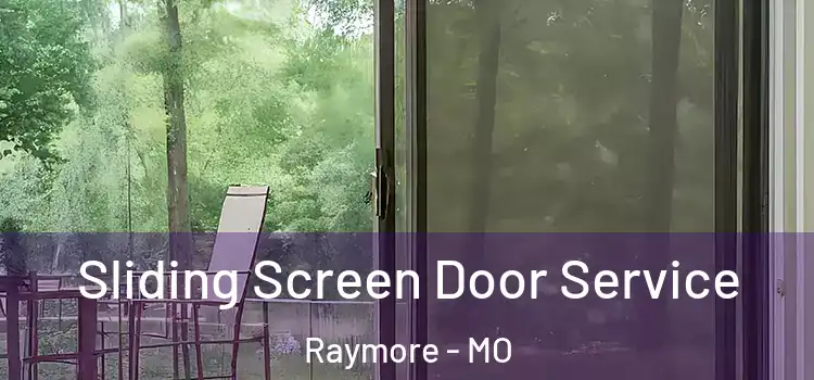  Sliding Screen Door Service Raymore - MO