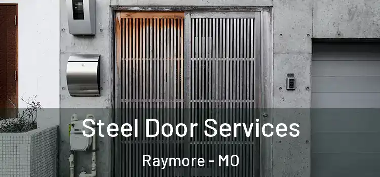  Steel Door Services Raymore - MO